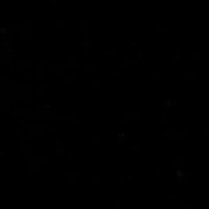 Meet your Posher, Saul